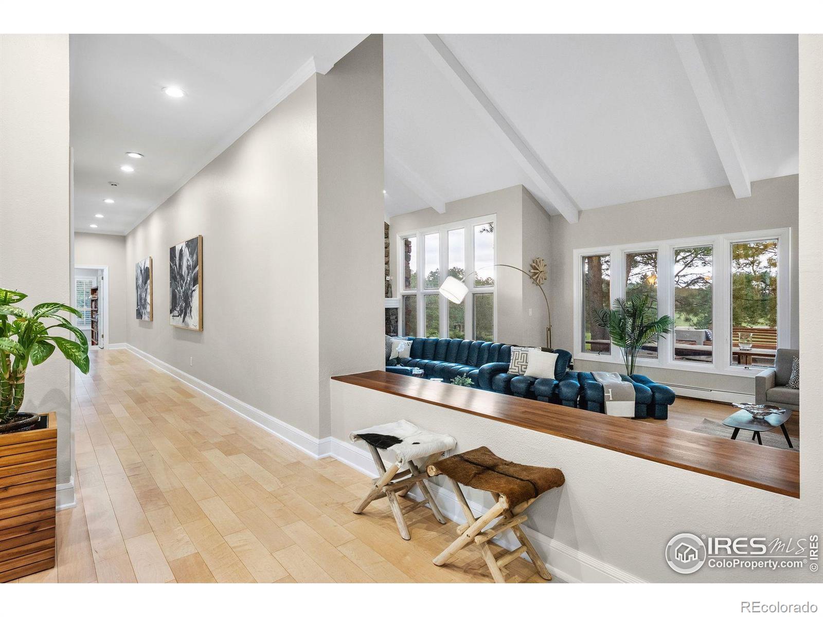 MLS Image #26 for 32399  woodland drive,evergreen, Colorado