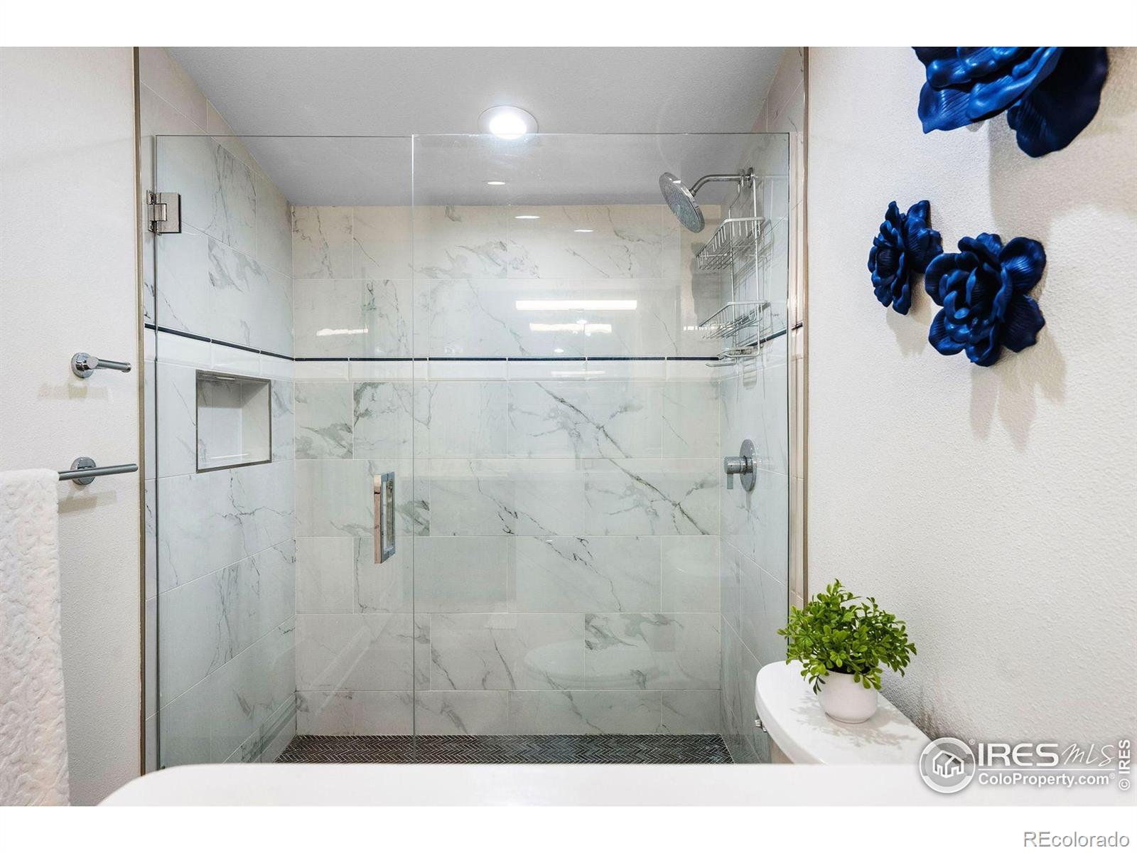MLS Image #28 for 32399  woodland drive,evergreen, Colorado