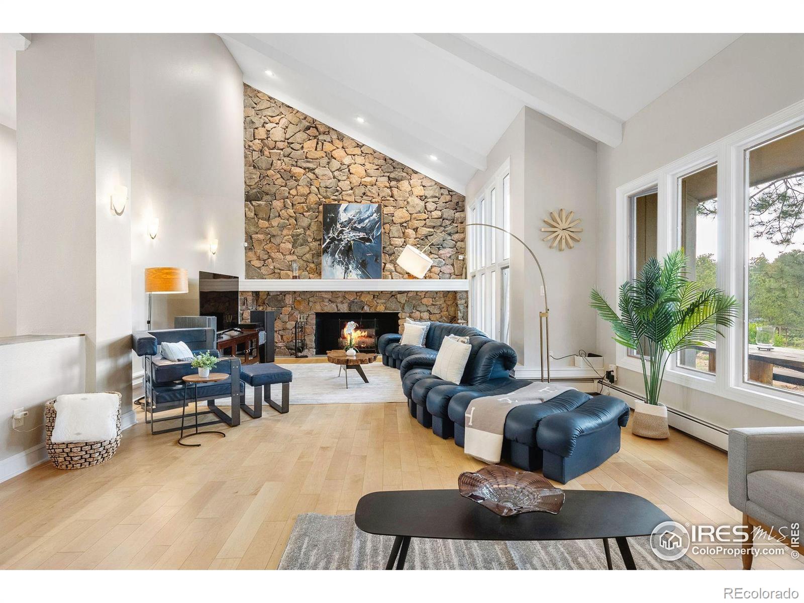 MLS Image #8 for 32399  woodland drive,evergreen, Colorado