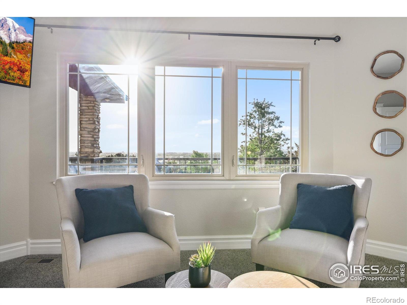 MLS Image #17 for 1780  merlin lane,windsor, Colorado