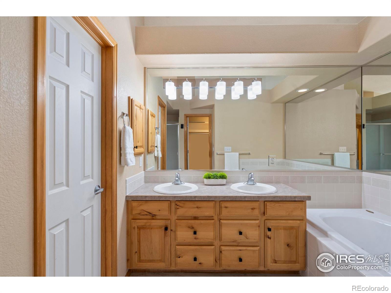 MLS Image #11 for 3450  lost lake place,fort collins, Colorado