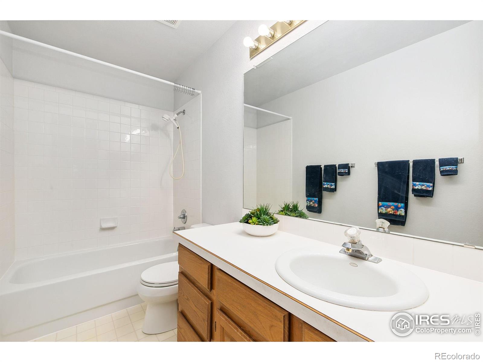 MLS Image #16 for 6400  finch court,fort collins, Colorado
