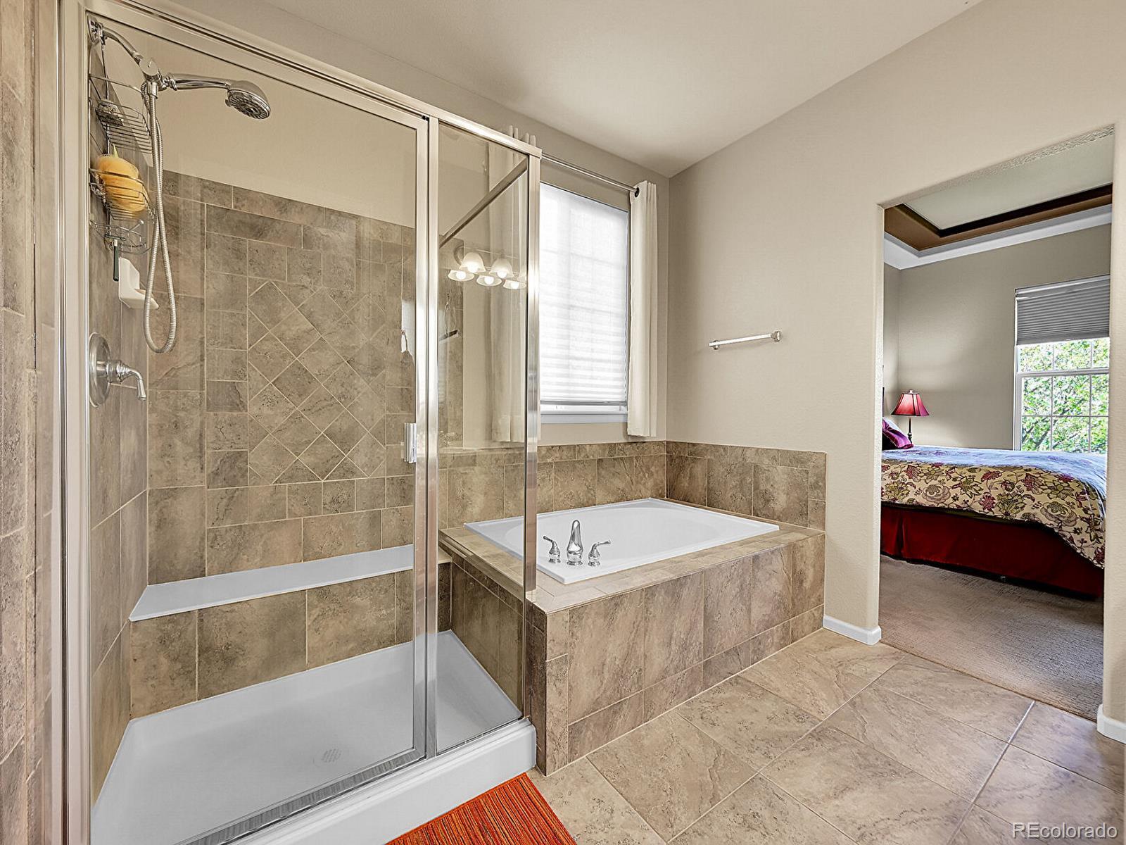 MLS Image #20 for 10565  kicking horse drive,littleton, Colorado