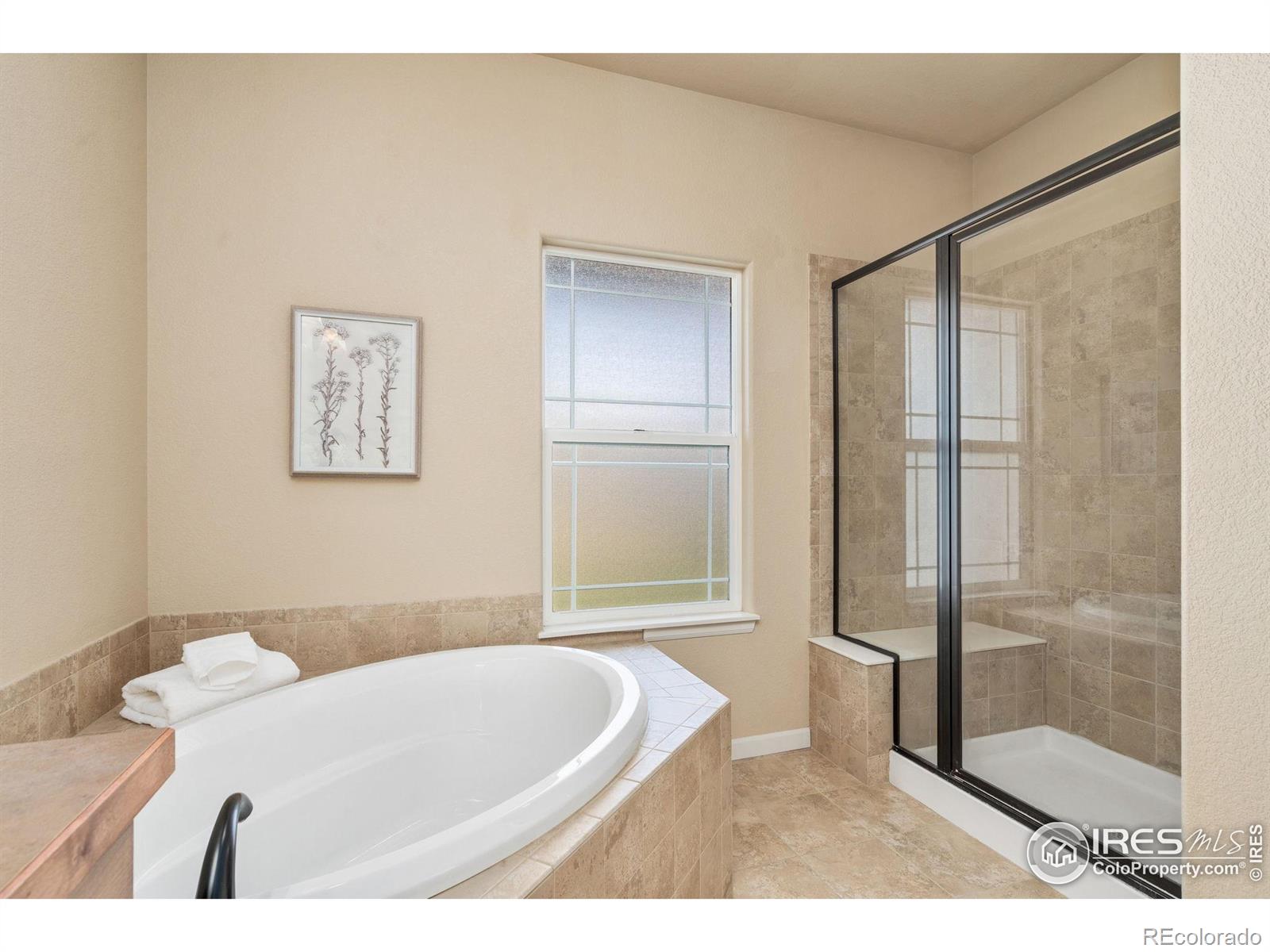 MLS Image #19 for 3933  mount hope street,wellington, Colorado