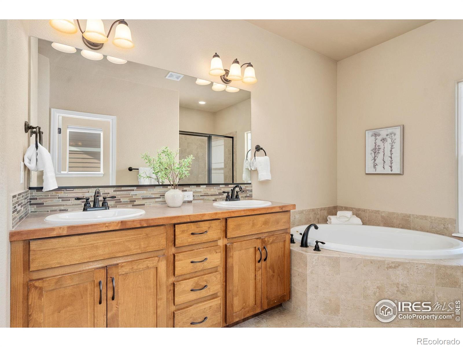 MLS Image #20 for 3933  mount hope street,wellington, Colorado