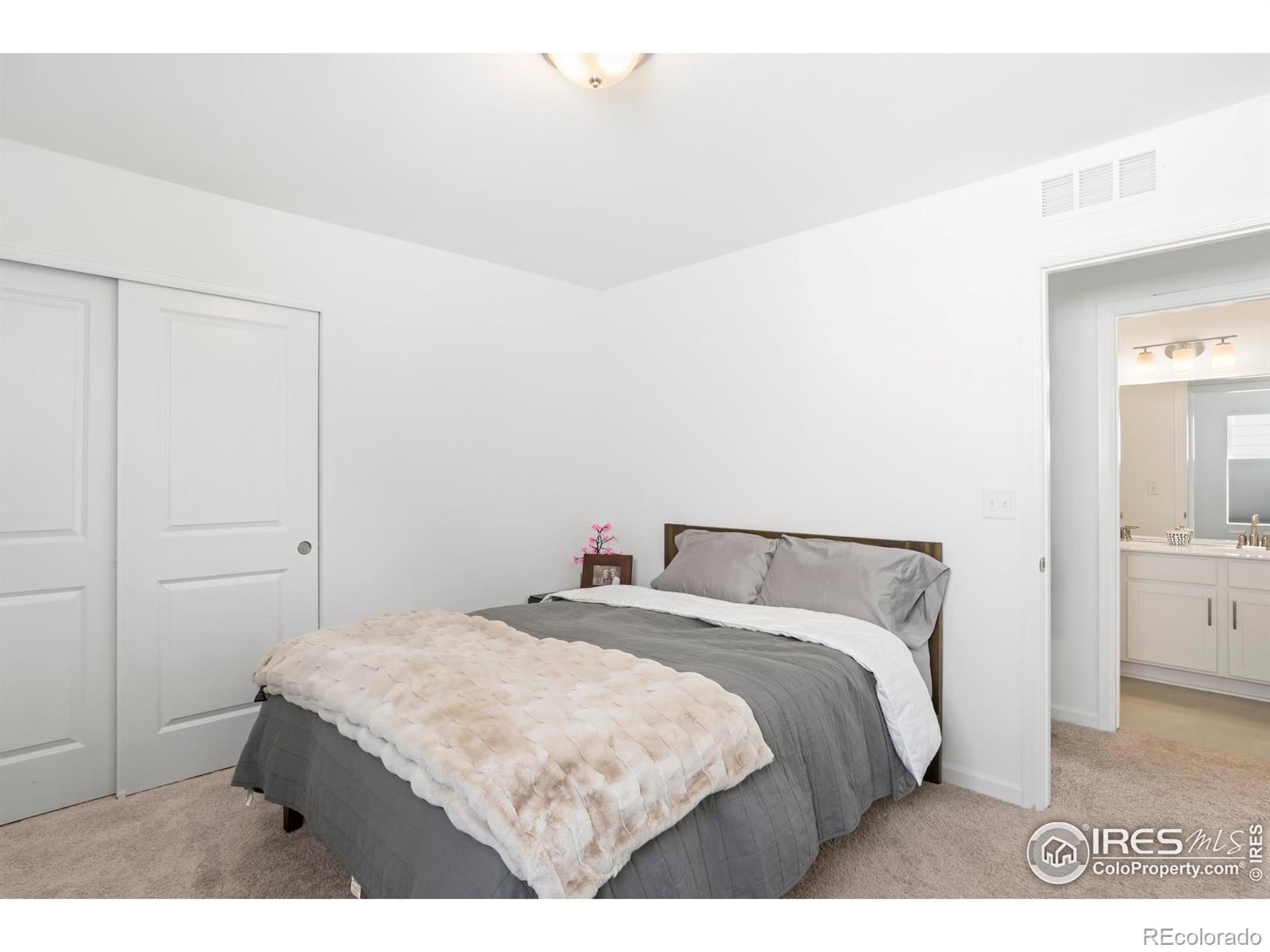 MLS Image #10 for 2905 s flat circle,longmont, Colorado