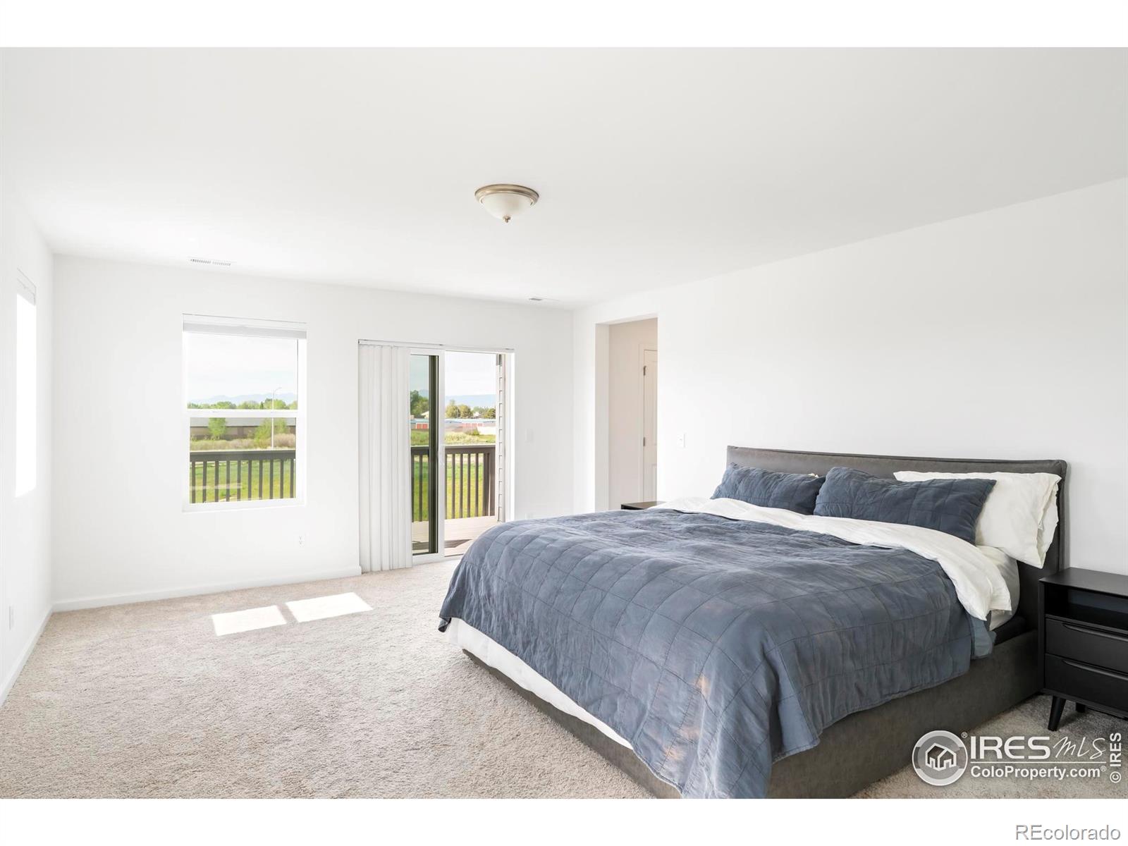 MLS Image #16 for 2905 s flat circle,longmont, Colorado