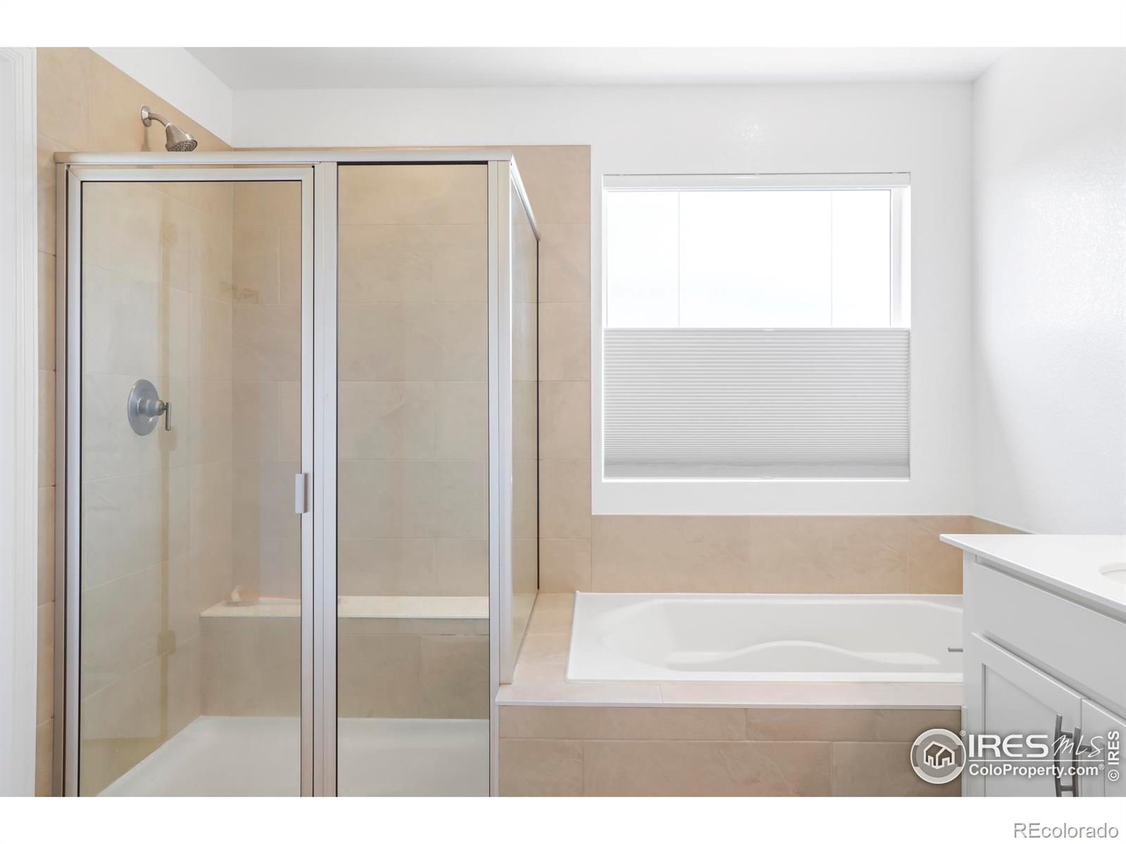 MLS Image #18 for 2905 s flat circle,longmont, Colorado