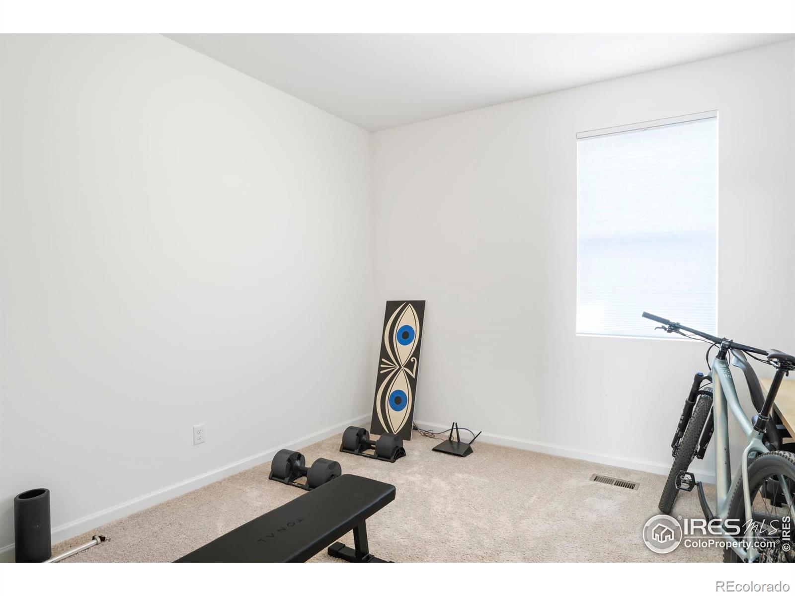 MLS Image #6 for 2905 s flat circle,longmont, Colorado