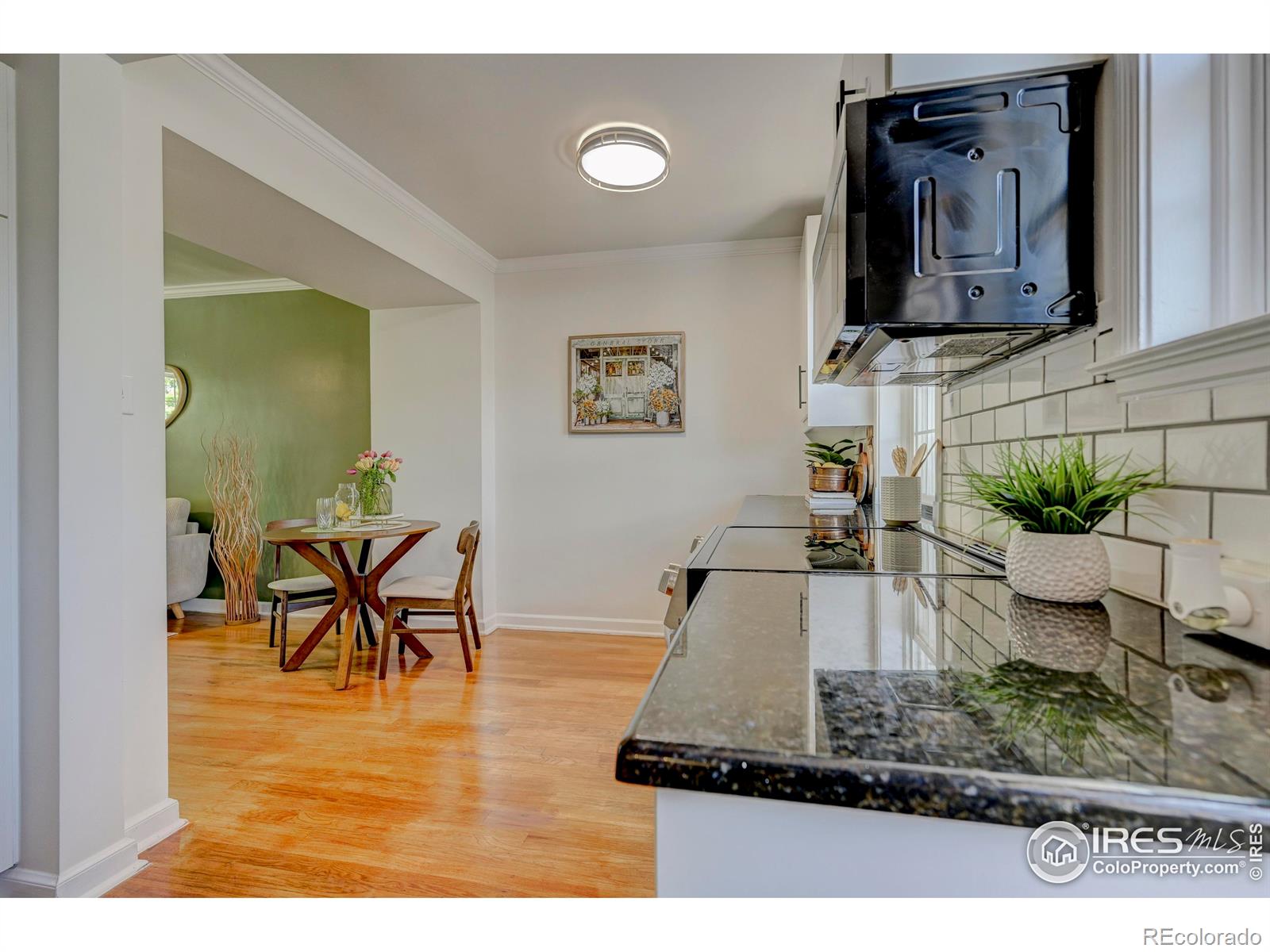 MLS Image #10 for 1235  leyden street,denver, Colorado