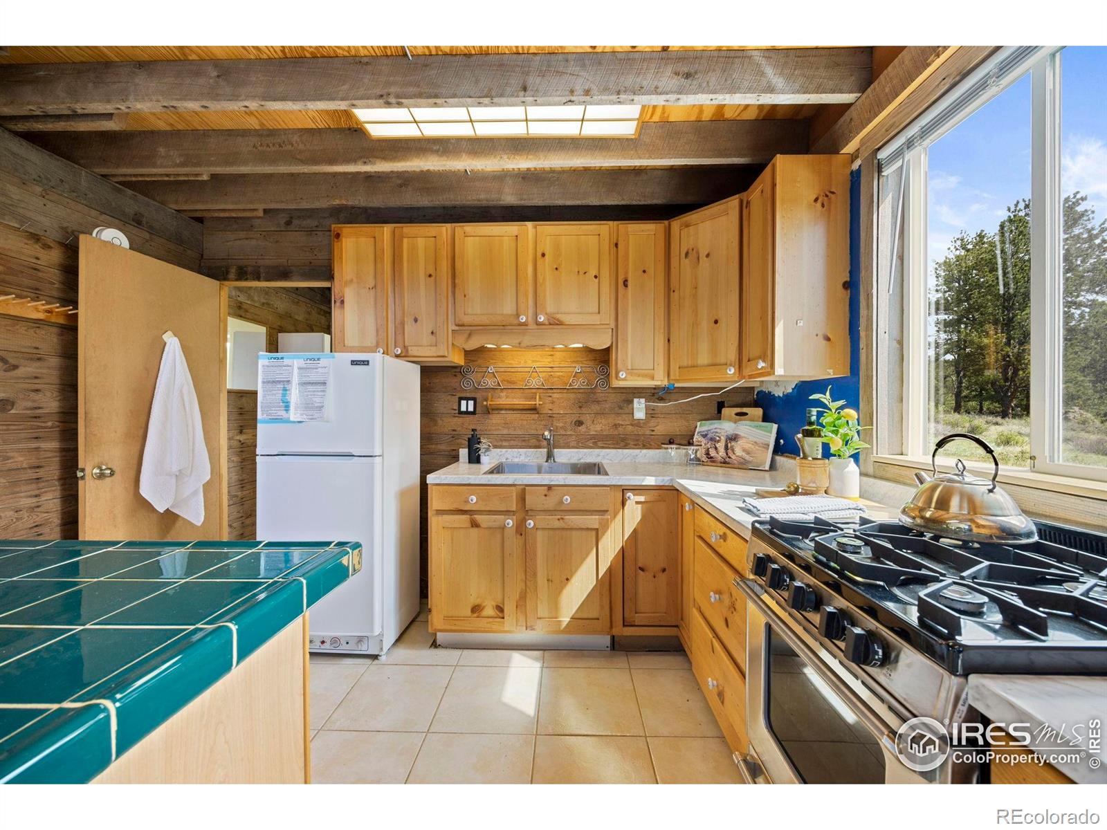 MLS Image #14 for 198  deer park drive,livermore, Colorado