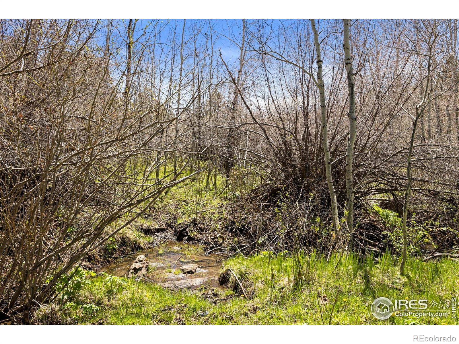MLS Image #32 for 198  deer park drive,livermore, Colorado
