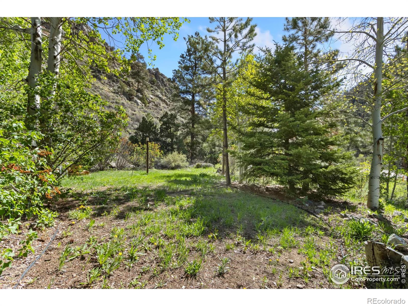 MLS Image #22 for 34828 w highway 14 ,bellvue, Colorado