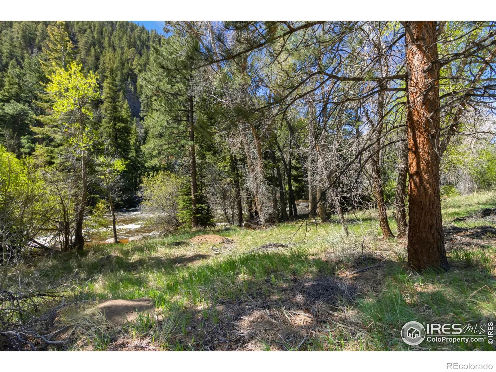 MLS Image #3 for 34828 w highway 14 ,bellvue, Colorado