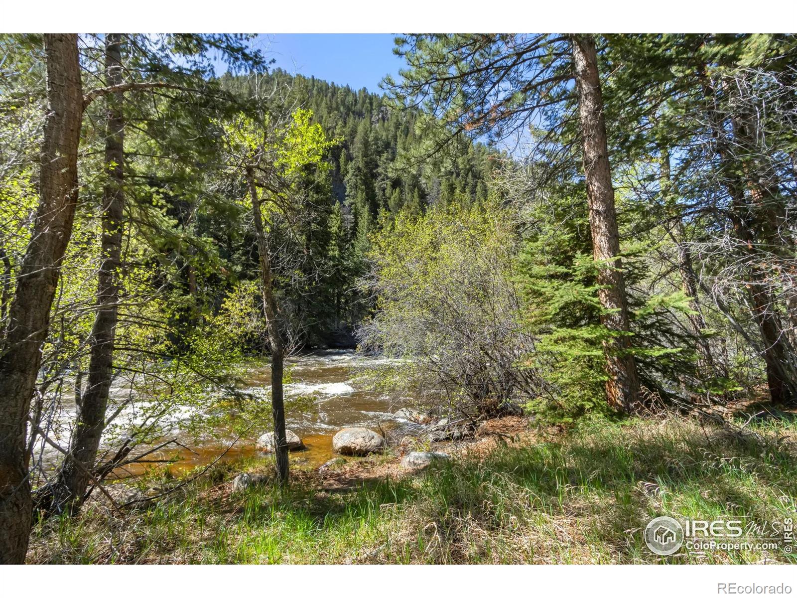 MLS Image #4 for 34828 w highway 14 ,bellvue, Colorado