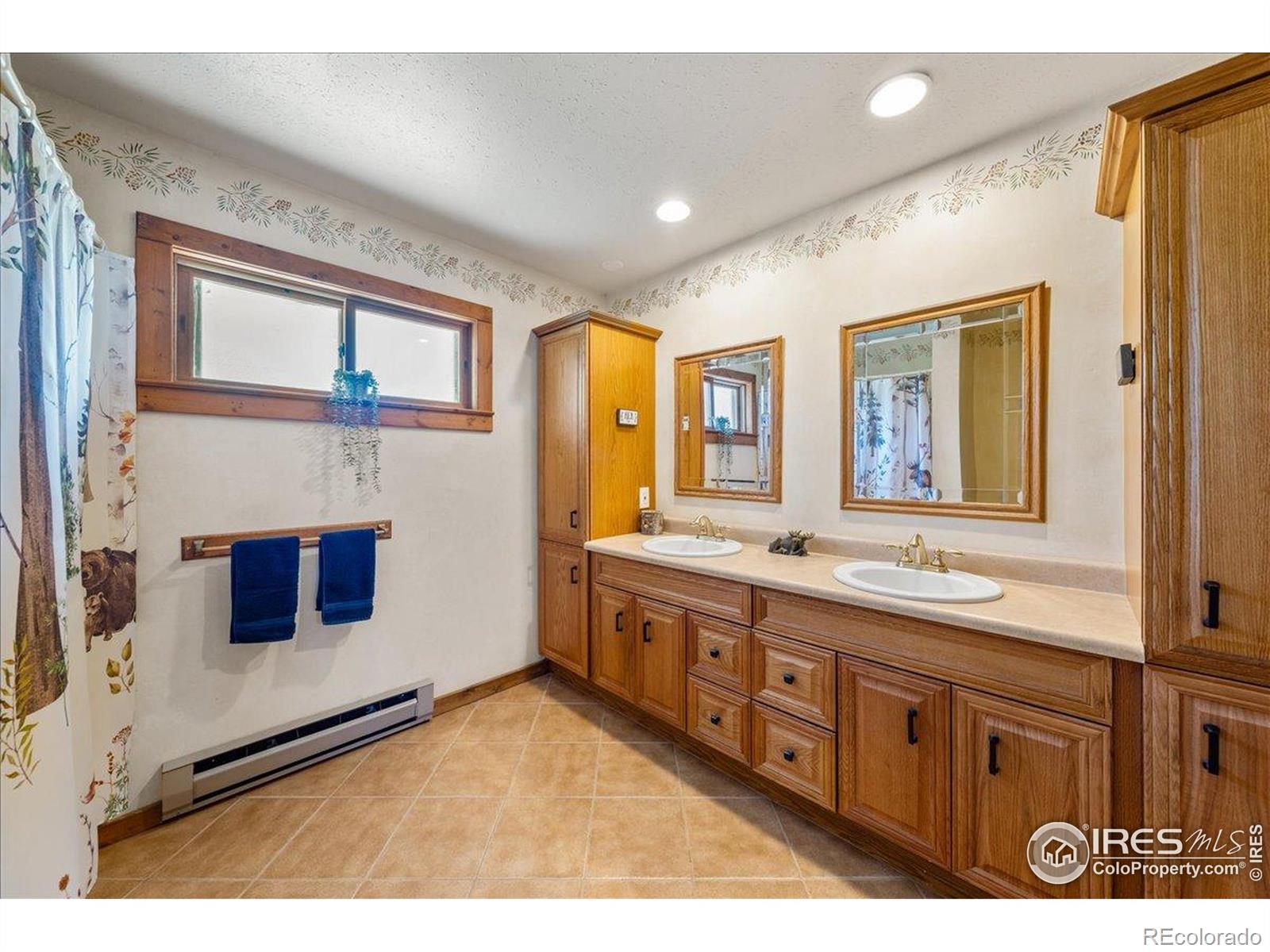 MLS Image #13 for 457  spruce mountain drive,drake, Colorado