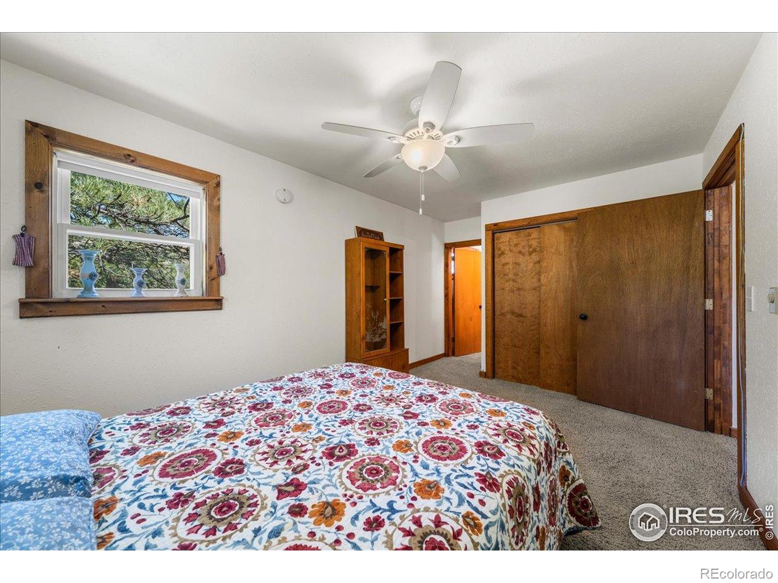 MLS Image #23 for 457  spruce mountain drive,drake, Colorado