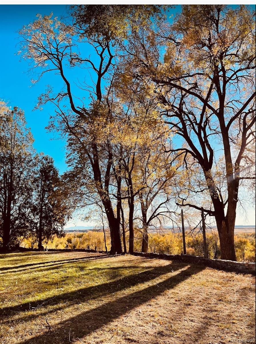 MLS Image #15 for 900  pond terrace,fountain, Colorado