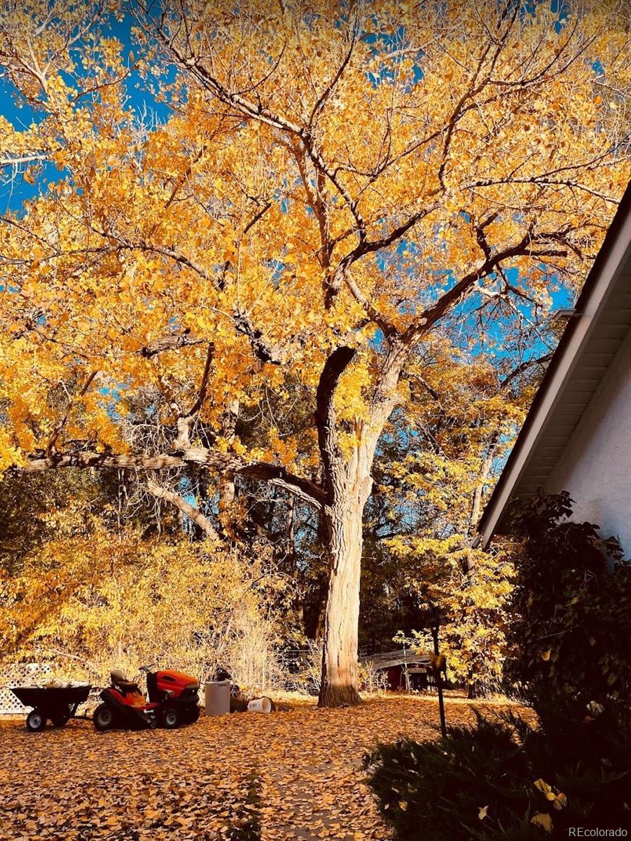 MLS Image #48 for 900  pond terrace,fountain, Colorado