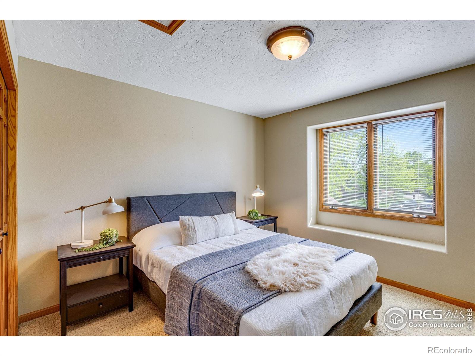 MLS Image #31 for 2613  fox run court,fort collins, Colorado