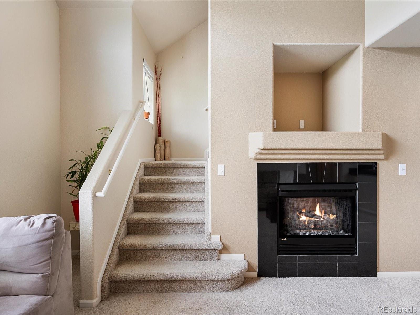 MLS Image #10 for 1801 s dunkirk street,aurora, Colorado