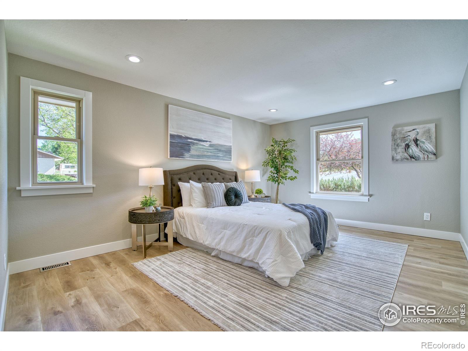 MLS Image #11 for 1237  cornell drive,longmont, Colorado