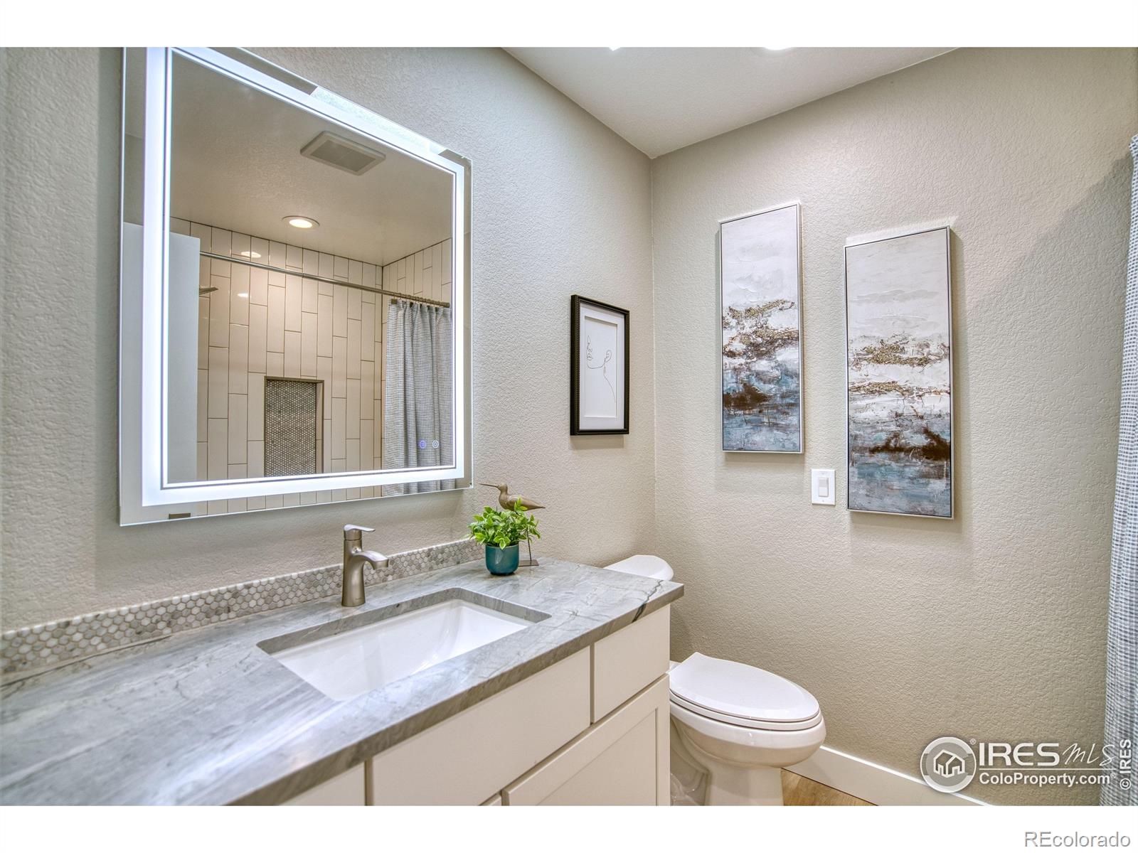 MLS Image #15 for 1237  cornell drive,longmont, Colorado