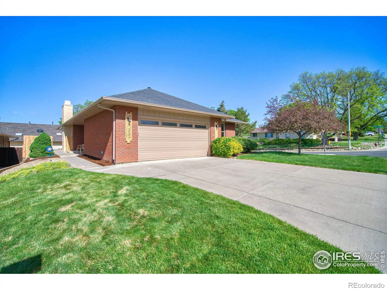 MLS Image #24 for 1237  cornell drive,longmont, Colorado