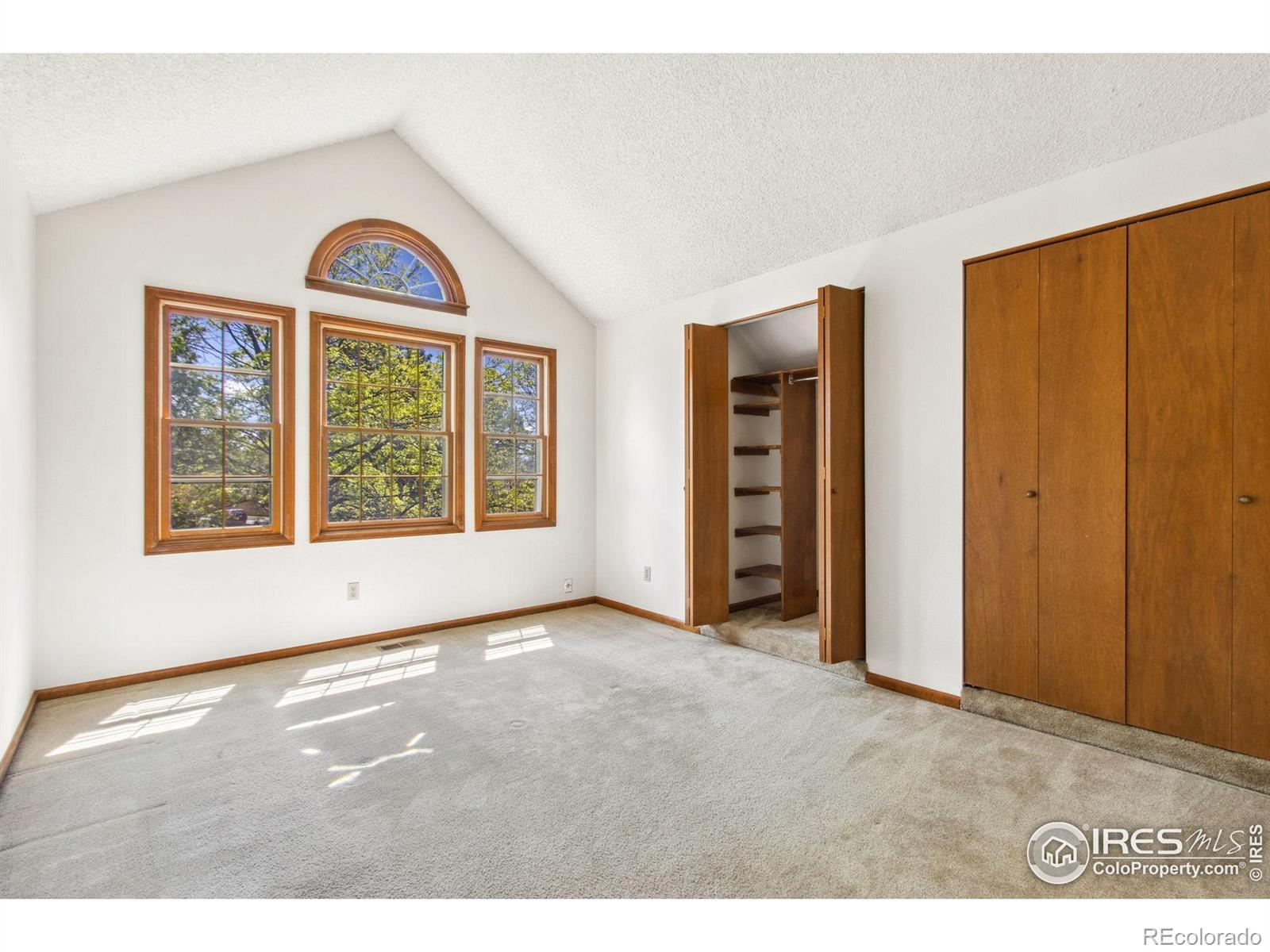 MLS Image #13 for 4142  snow ridge circle,fort collins, Colorado