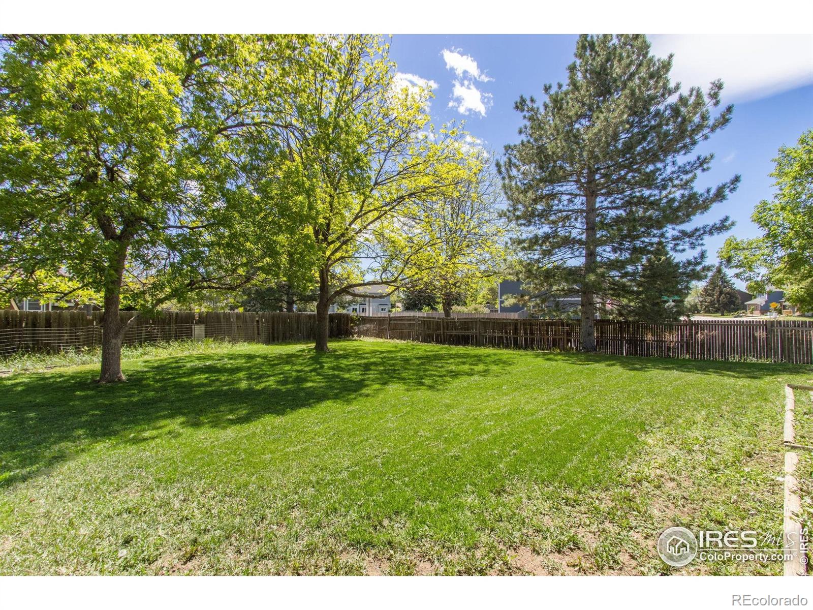 MLS Image #23 for 4142  snow ridge circle,fort collins, Colorado