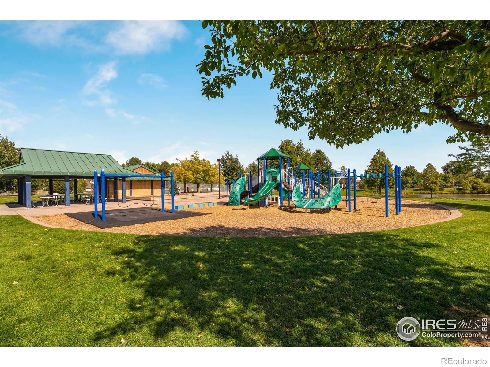 MLS Image #26 for 4142  snow ridge circle,fort collins, Colorado