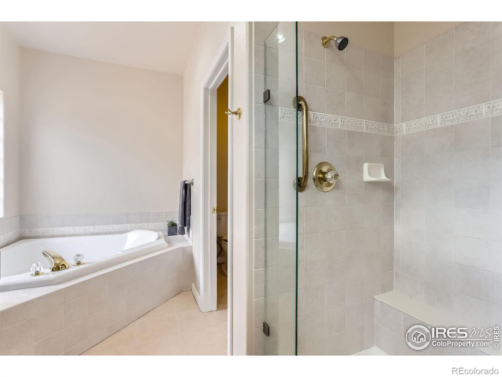 MLS Image #12 for 1012  boxelder circle,longmont, Colorado