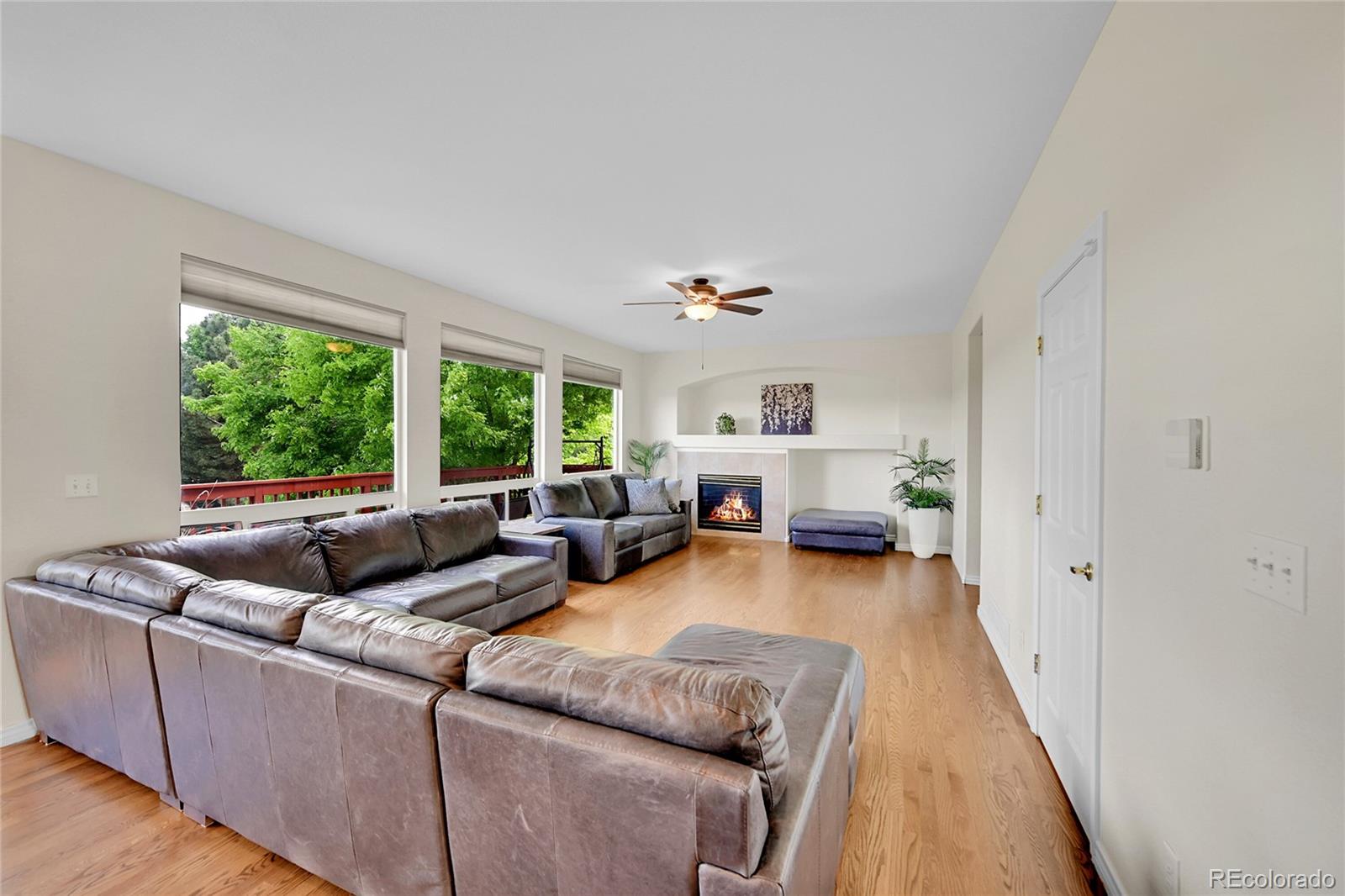 MLS Image #18 for 17826 e cloudberry drive,parker, Colorado