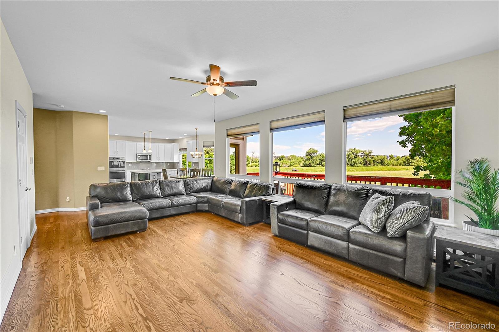 MLS Image #19 for 17826 e cloudberry drive,parker, Colorado