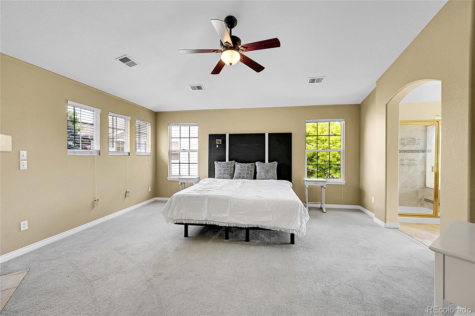 MLS Image #31 for 17826 e cloudberry drive,parker, Colorado