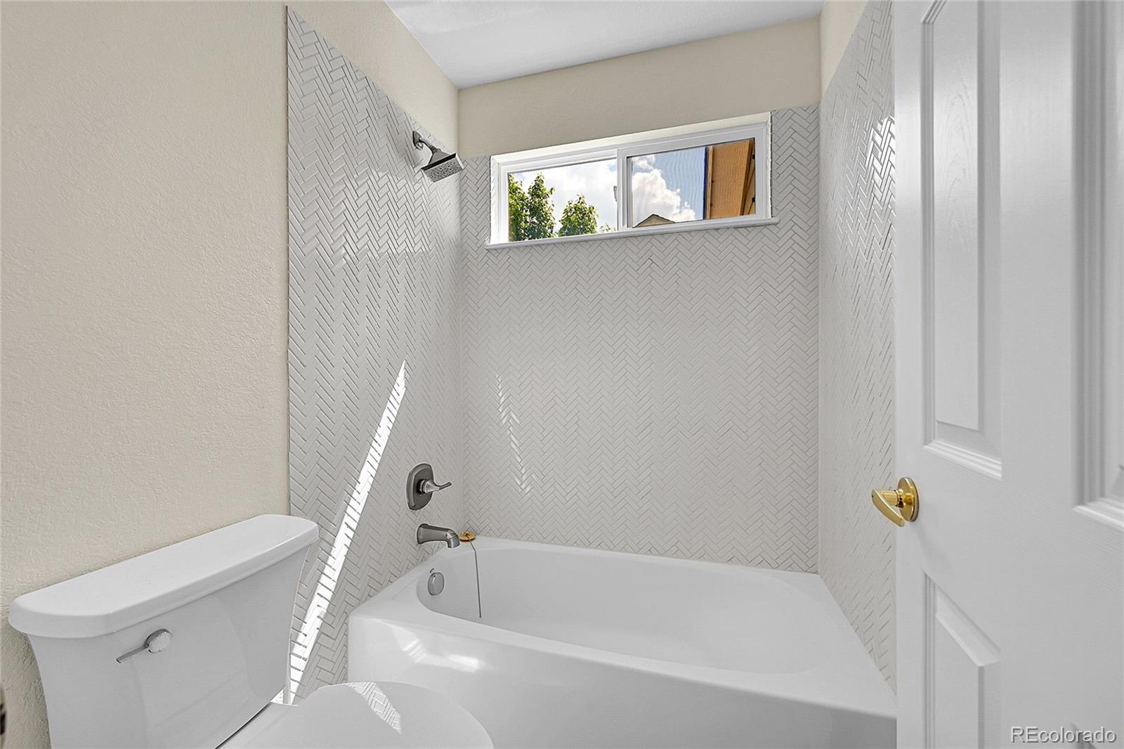 MLS Image #39 for 17826 e cloudberry drive,parker, Colorado