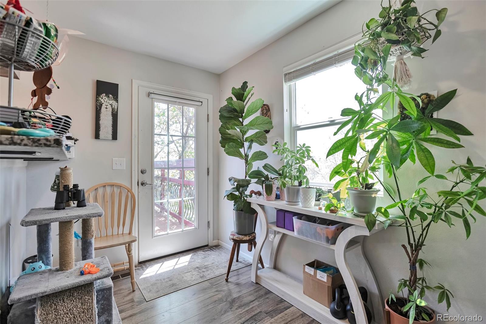 MLS Image #23 for 3792 s pitkin court,aurora, Colorado