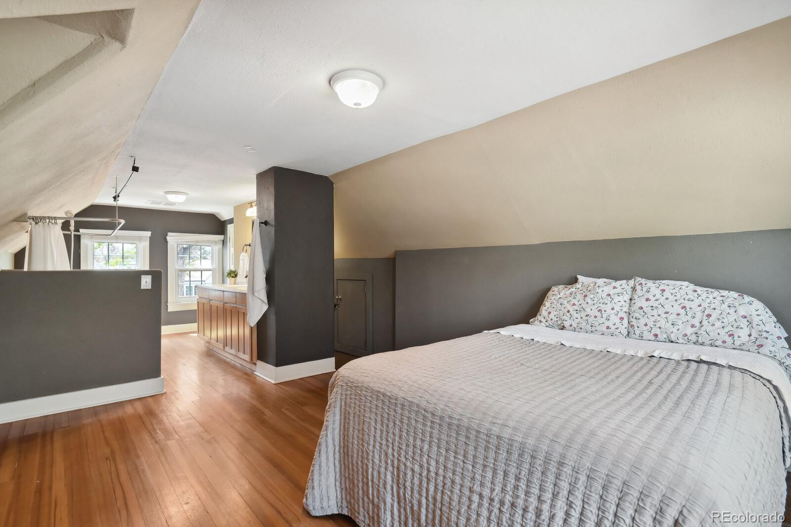MLS Image #21 for 1003 n institute street,colorado springs, Colorado