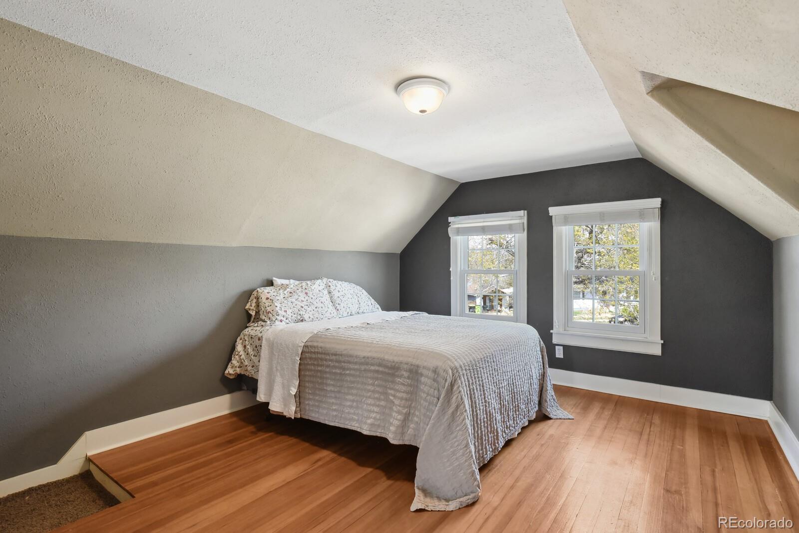 MLS Image #22 for 1003 n institute street,colorado springs, Colorado