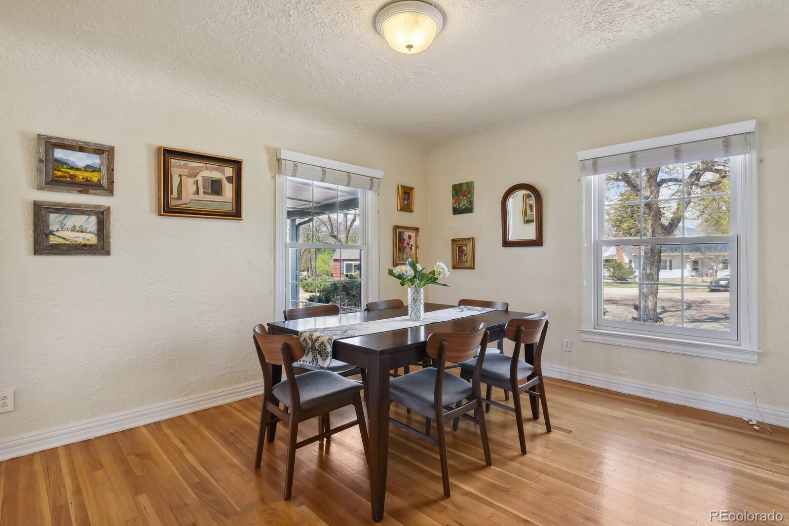 MLS Image #9 for 1003 n institute street,colorado springs, Colorado