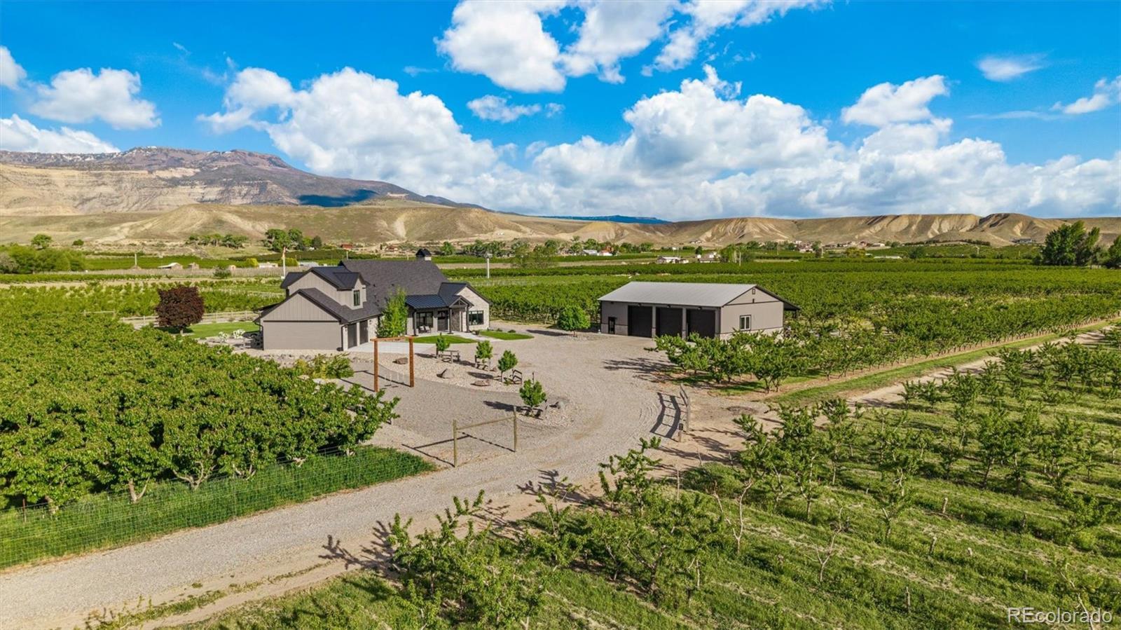 MLS Image #10 for 3633  f road,palisade, Colorado