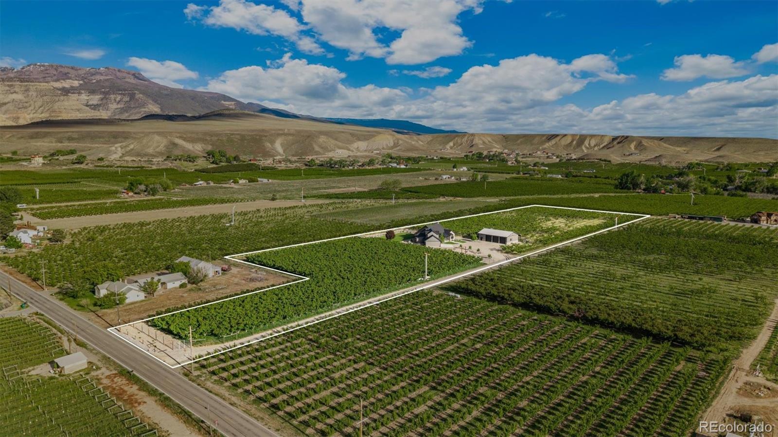 MLS Image #11 for 3633  f road,palisade, Colorado