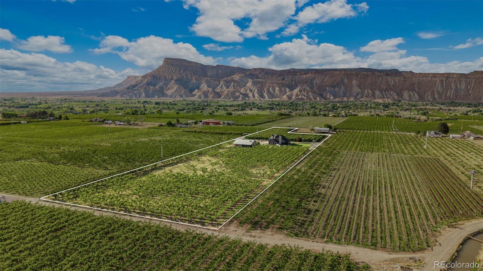 MLS Image #12 for 3633  f road,palisade, Colorado