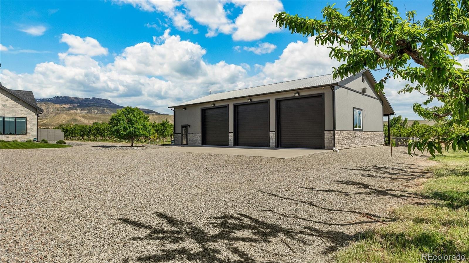 MLS Image #35 for 3633  f road,palisade, Colorado
