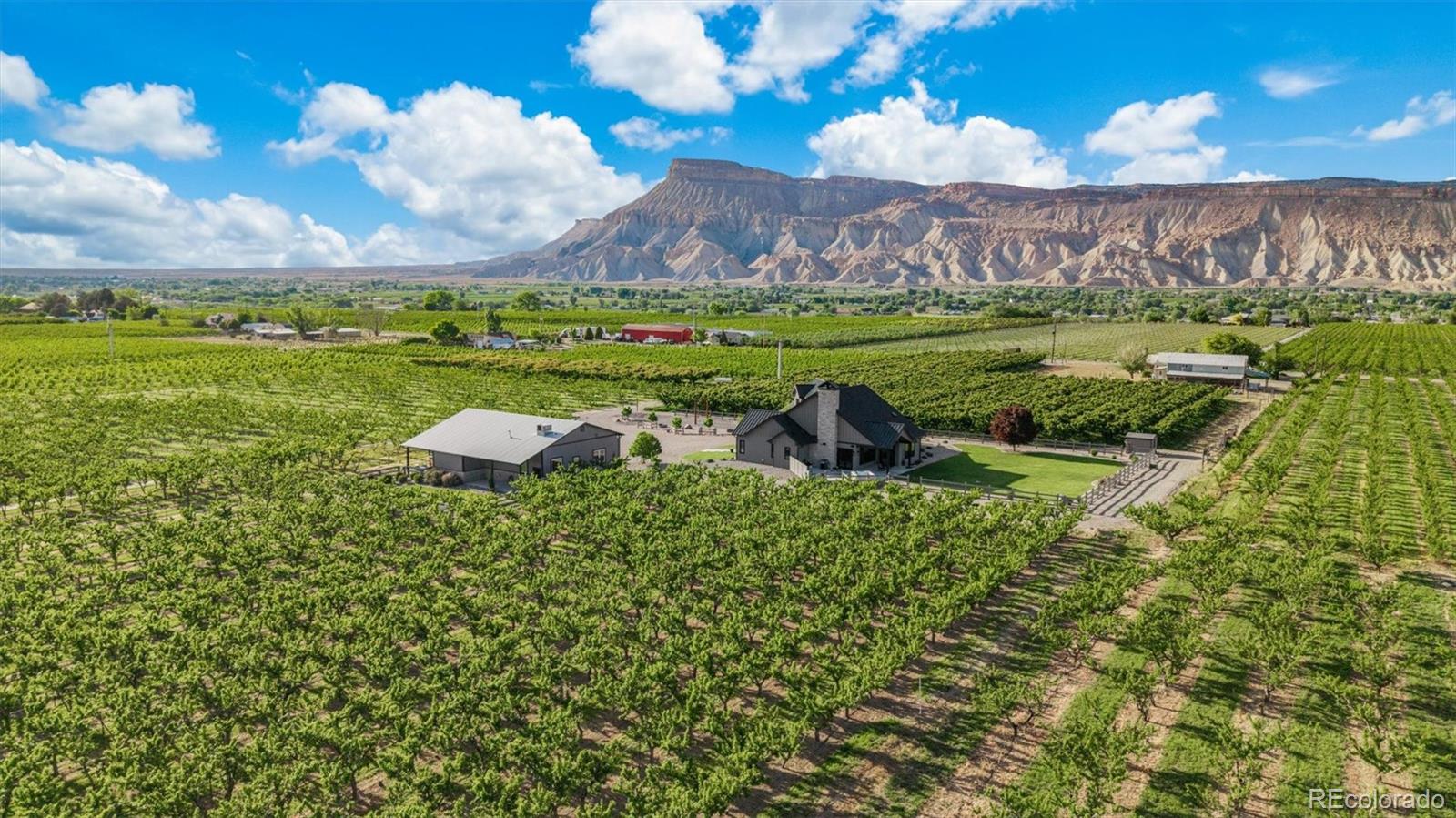 MLS Image #36 for 3633  f road,palisade, Colorado