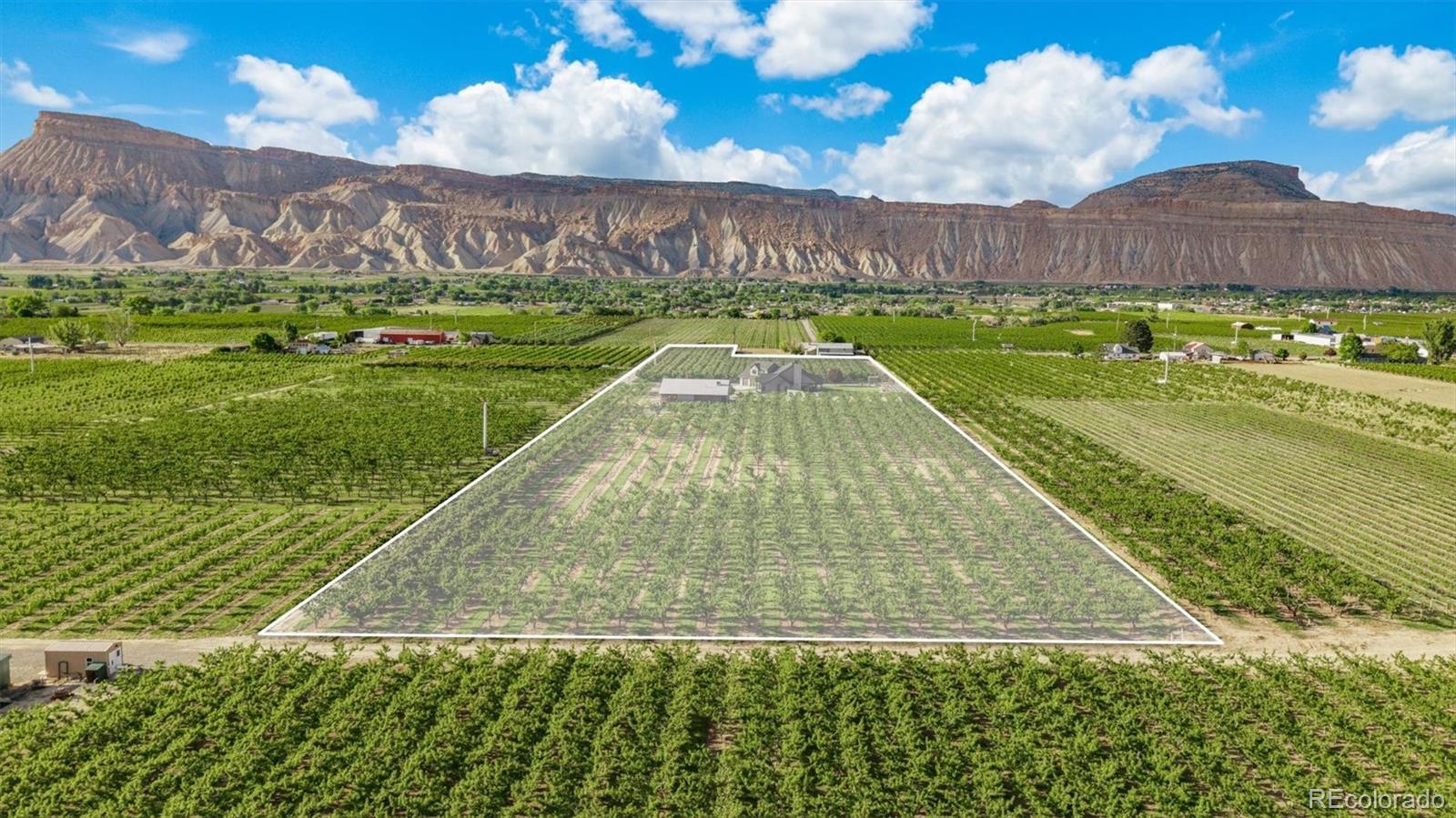 MLS Image #47 for 3633  f road,palisade, Colorado