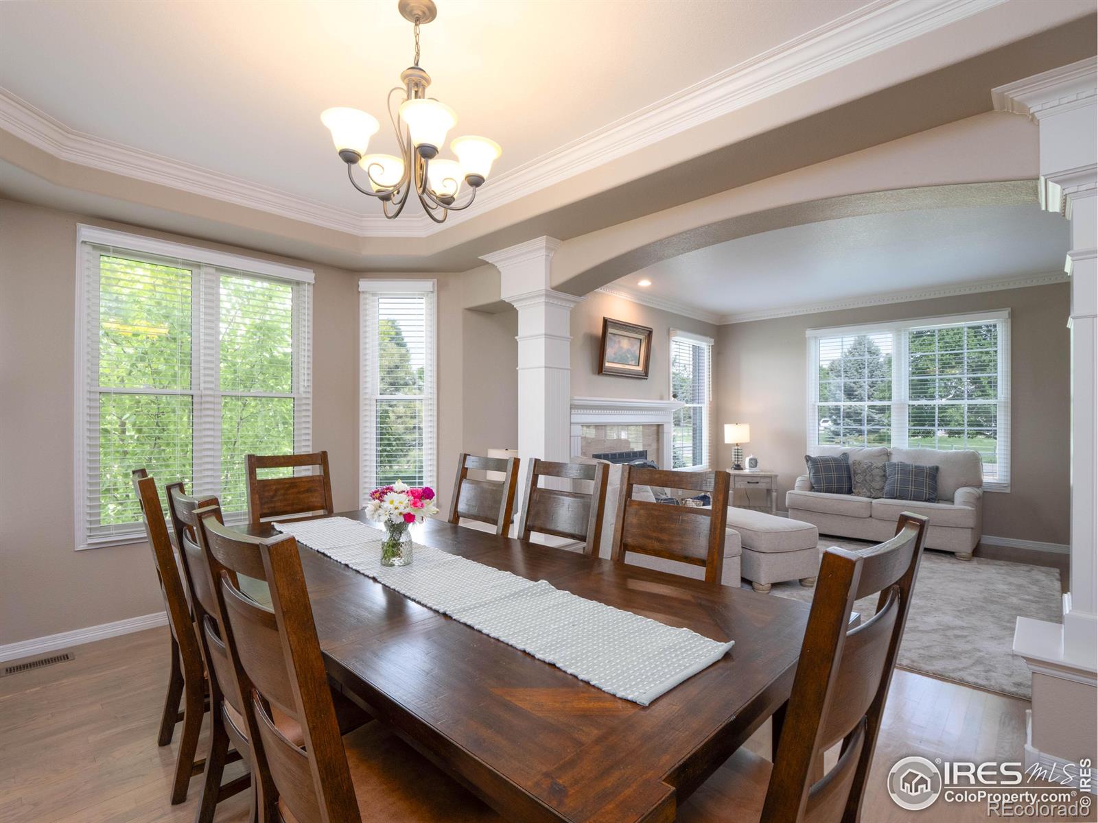 MLS Image #8 for 5920  highland hills circle,fort collins, Colorado