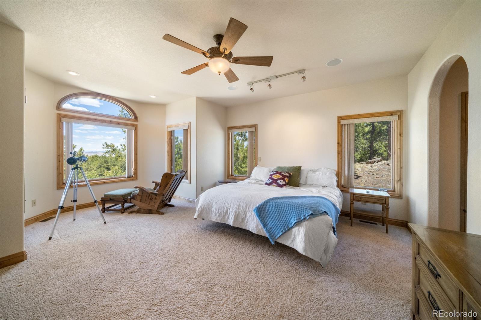 MLS Image #17 for 562  ranger station road,guffey, Colorado
