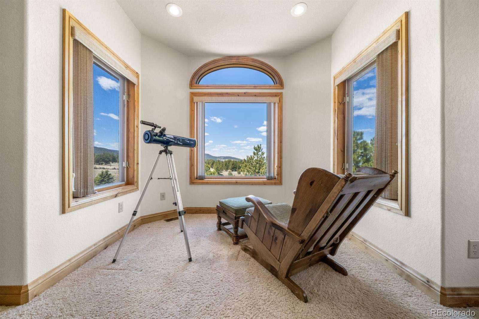 MLS Image #18 for 562  ranger station road,guffey, Colorado