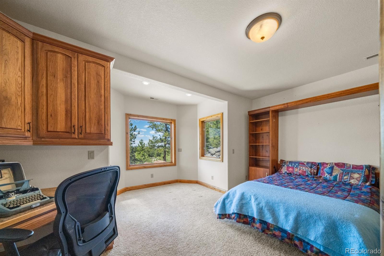 MLS Image #25 for 562  ranger station road,guffey, Colorado